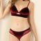sexy slight stretch velvet mesh lace hollow see-through thin bra set_Black_Rose Red