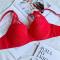 sexy plus size 6 colors lace push up underwire thin big breast bra size run small_Black_White_Pink_Red