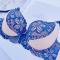 sexy plus size stretch lace flowers thin cup large breast underwire push up bra_Magenta_Blue
