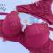 sexy slight stretch embroidery underwire padded thin bra set size run small_Black_Rose Red