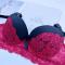 plus size stretch lace gather breathable with bra rim padded bras_Black_Magenta