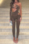 sexy high stretch mesh rhinestone hollow skinny jumpsuit new added color_Black_White_Red_Rose Red_Dark Green_Dark Blue_Beige_Brown