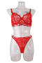 sexy slight stretch 6-colors lace see-through with underwire two-piece set_Black_White_Pink_Red
