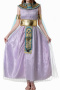 sexy non-stretch greek goddess costumes(with full of accessories)_Dark Green_Light Purple