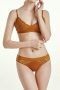sexy slight stretch 5 colors solid color lace padded bras sets(size run small)_Black_Pink_Deep Yellow
