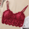 sexy stretch lace solid color padded bras(suitable for 88-143lbs)_Black_White_Rose Red