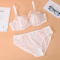 sexy plus size slight stretch see-through lace with underwire bras sets_Black_White