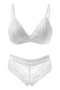 sexy slight stretch solid color see-through lace with padded bra set_Black_White