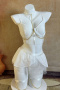 plus size stretch mesh 6 colors three-piece set(with gloves&underwire&leg rings)_Black_White