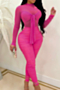 long sleeve plus size new fashion mesh stitching zip-up sexy jumpsuit(a47338)_White_Blue_Magenta