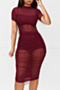 nightclub plus size  3 colors new stylish mesh see through sexy midi dress (three-piece set)_Black_Blue_Rose Red