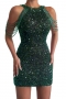 sexy plus size slight stretch sequin crew neck beaded chain mini dress_Black_White_Gray_Red_Rose Red_Dark Green