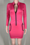 three colors autumn new stylish solid color zip-up pockets stretch slim dress_Black_Magenta