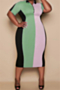 oversize contrast color spliced stretch high turndown collar zip-up stylish dress_Light Green