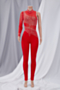 early autumn plus size stitching mesh see through rhinestone zip-up stretch sexy jumpsuit (random rhinestones) (new add colors)_White_Black_Red