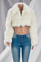 winter new stylish solid color zip-up plus size casual inelastic warm fur jacket_Black_White